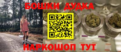 гашик Будённовск