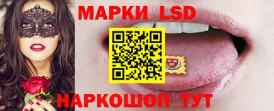 гашик Будённовск