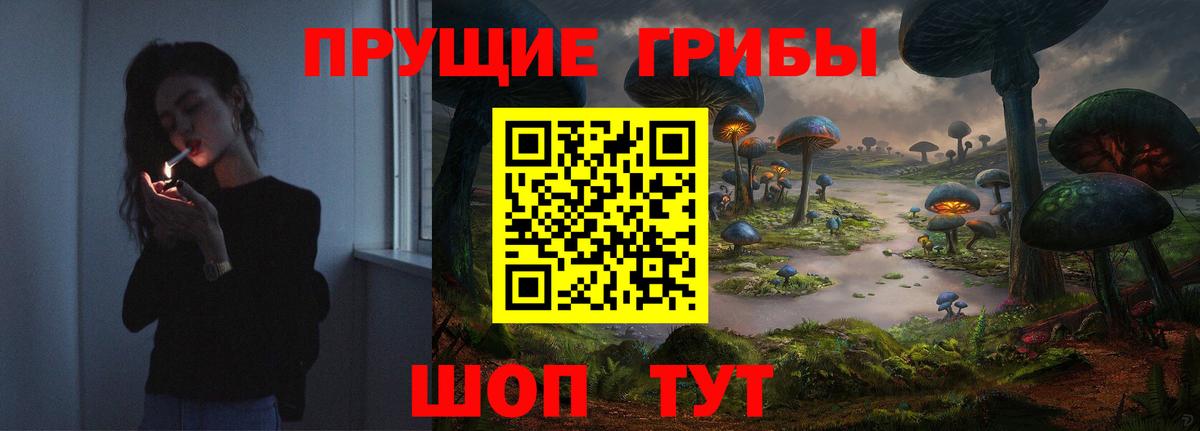 Галлюциногенные грибы GOLDEN TEACHER  Галлюциногенные грибы Psilocybine cubensis  Вход с VPN  Краснотурьинск 